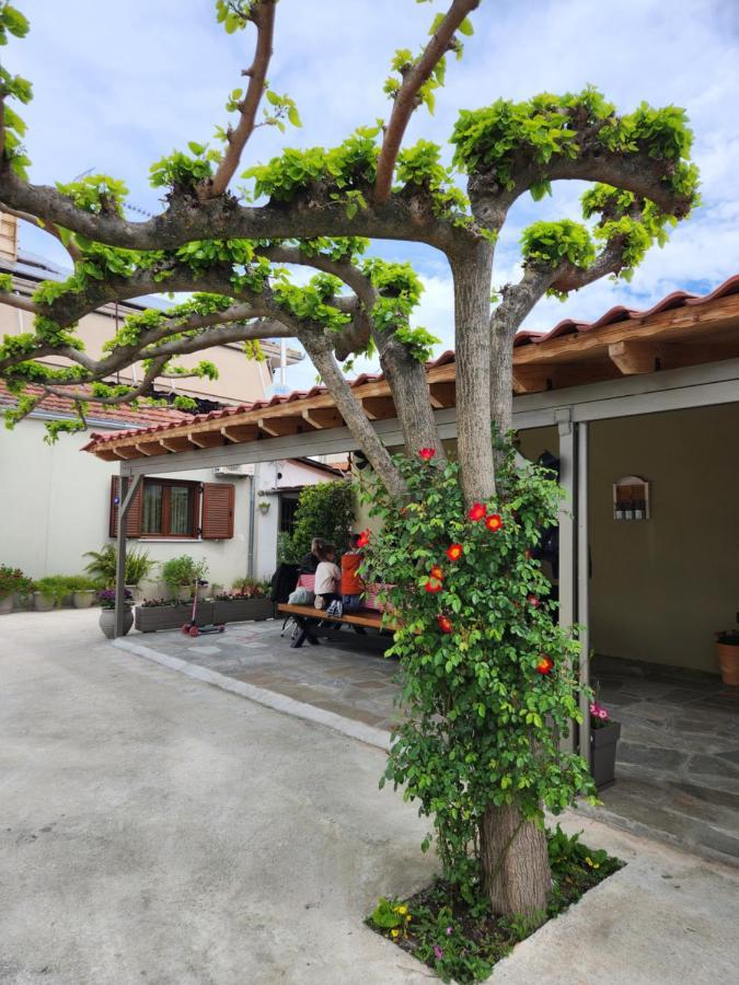The Family's House Apartment *