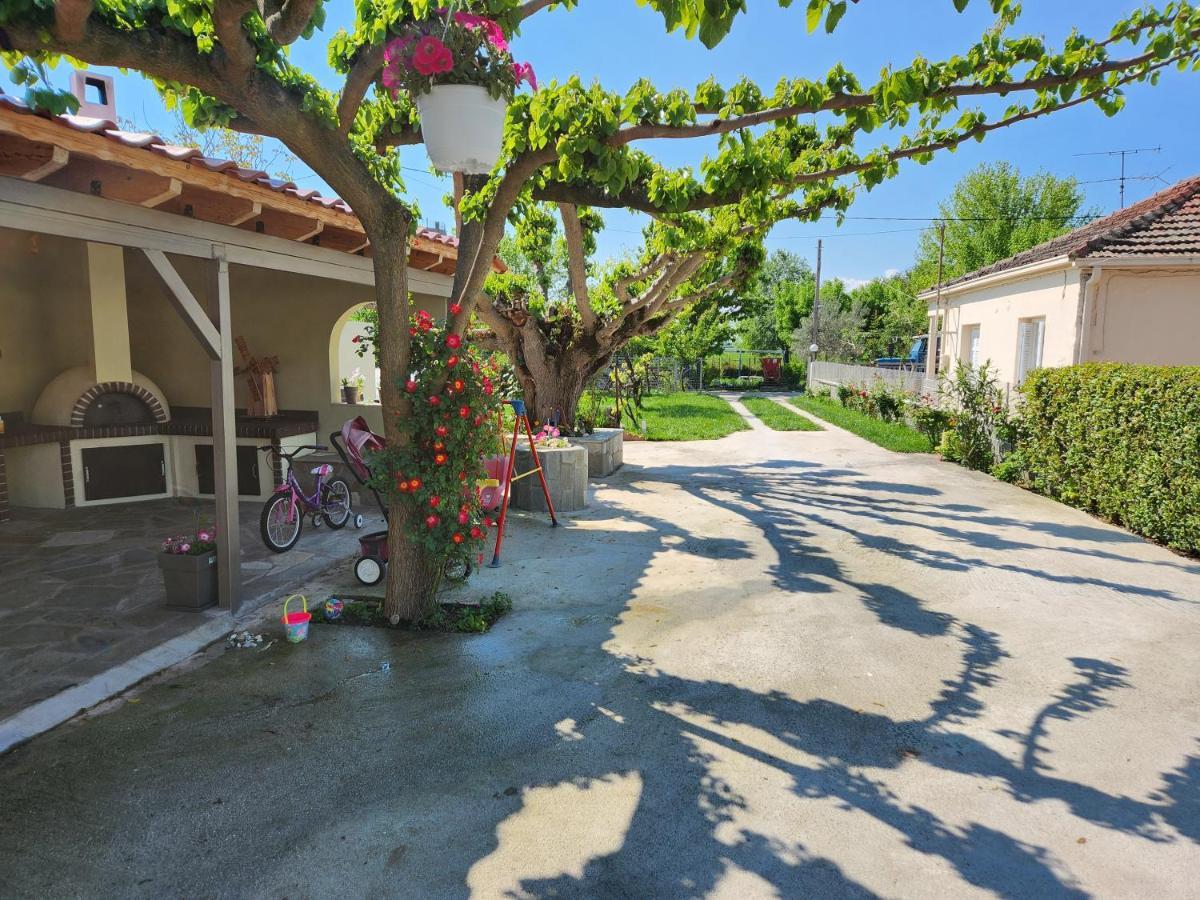 The Family's House * Trikala (Thessaly)