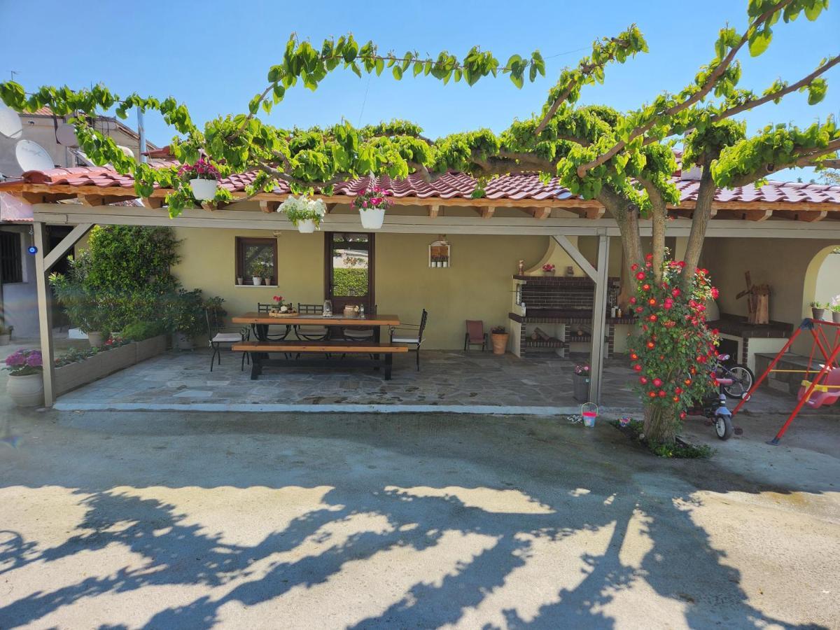The Family's House *
